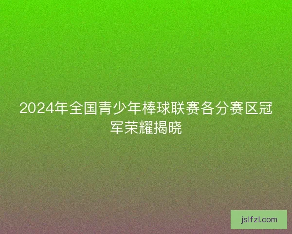 2024年全国青少年棒球联赛各分赛区冠军荣耀揭晓