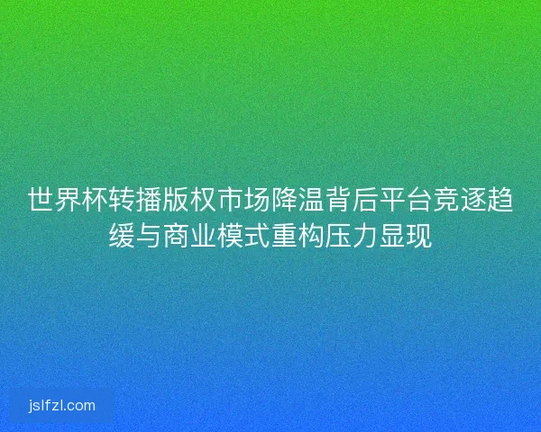 世界杯转播版权市场降温背后平台竞逐趋缓与商业模式重构压力显现