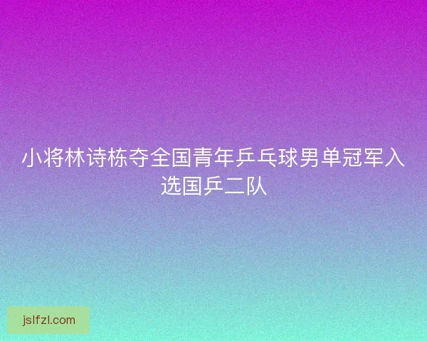 小将林诗栋夺全国青年乒乓球男单冠军入选国乒二队